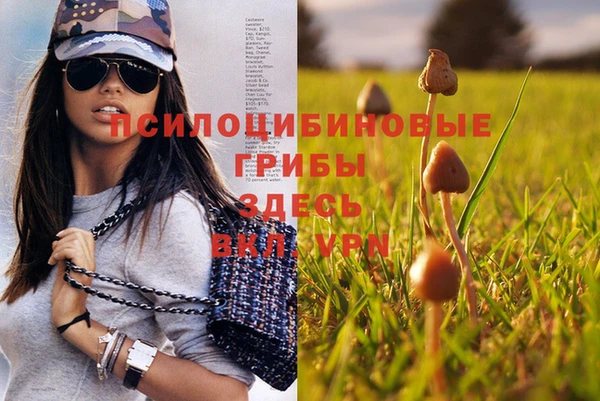 гашишное масло Баксан