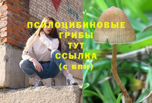 шишки Сафоново