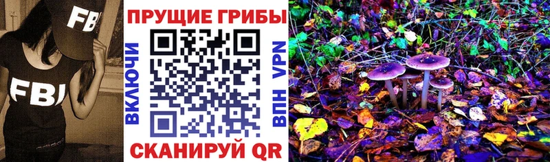 где продают наркотики  Балашов  omg зеркало  Галлюциногенные грибы ЛСД 